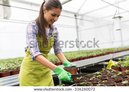 Young female botanist trimming and checking growing plants in greenhouse