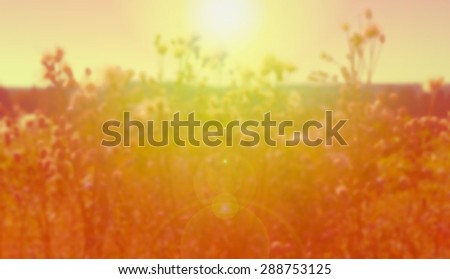 Summer blurred background with glows, in the rays of evening sun