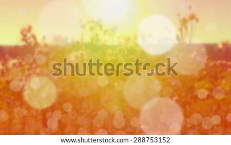 Summer blurred background with glows, in the rays of evening sun