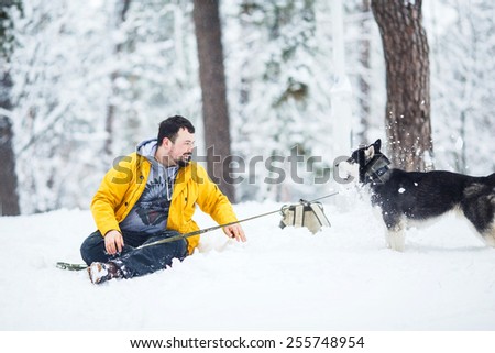 Man and dog in the snow in a forest in the afternoon
