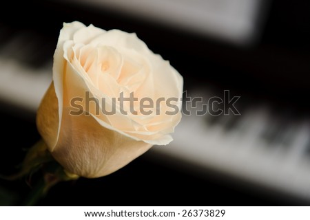 Roses, piano and notes