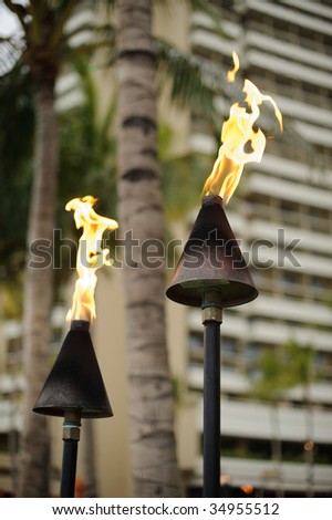 Hawaiian Torch