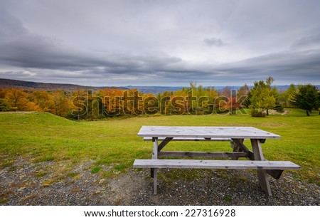 Forest in fall - bench