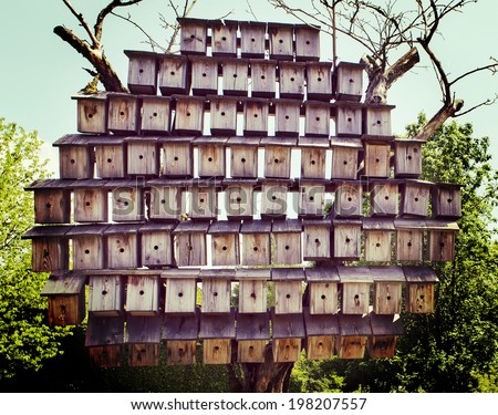 Bird houses. Financial Problem. Loans and household