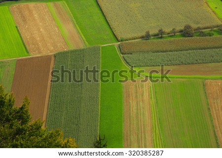Cultivated field from above. Aerial view of meadows and cultivated fields. Birds view. Arable land.