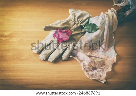 female glove enveloped in veil holding a rose in vintage look