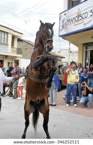 COTACACHI, ECUADOR - MAY 19, 2013: Horses and riders participating in the Paseo del Chagra cultural event, horse parade, horse rearing on command