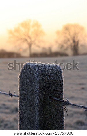 Frost covered fence post