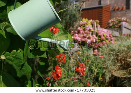 A small hand held watering can being held aloft against an urban garden scene.Water emerging from spout of watering can. Landscape format.