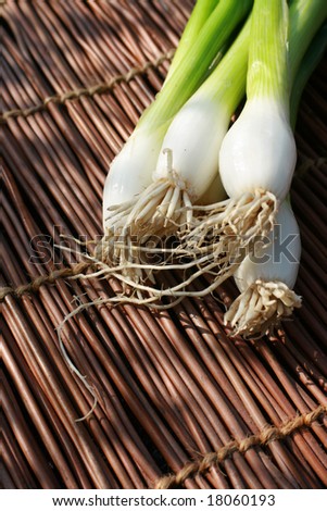 Still life image of a bunch of freshly picked organic spring onions, on a twig constructed mat.