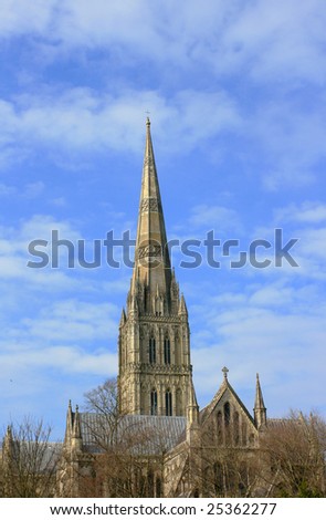 Portrait image of Salisbury Cathedral, Wiltshire England. View from Bishop Wordsworth\'s School.