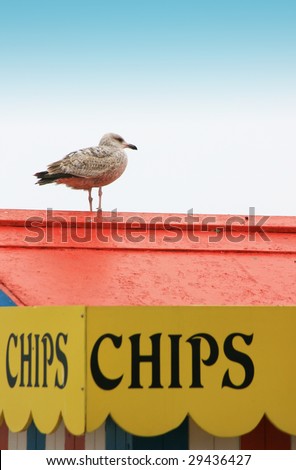 A lone seagull perching on top of a blue,red and white striped beach/Cafe hut located in Weymouth,Dorest UK. A Yellow pelmet to the hut spells the words \'Chips\' on its side.