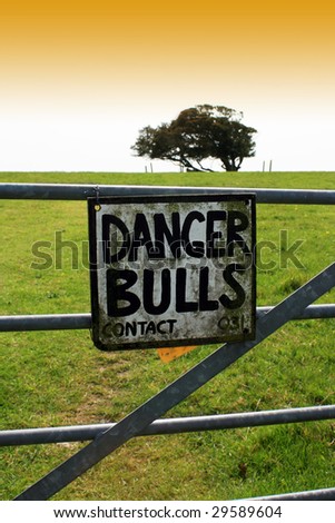 A hand painted metal sign warning of the danger of bulls in a field. Sign wired to a metal constructed gate with green field and trees to horizon.