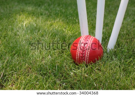 A red leather cricket ball lying in green grass at the base of three white wooden cricket stumps. Set on a landscape format.