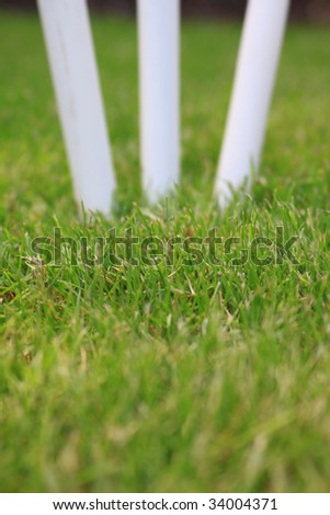 Three wooden white cricket stumps on a portrait format image. Soft focus to background, with focus in middle distance on green grass.