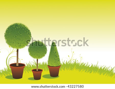 A trio of topiary bushes set on a soft green background with grass and foliage. Room for copy etc.