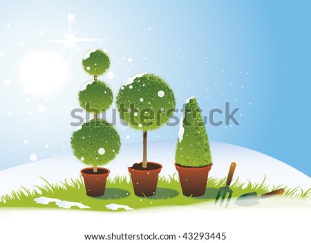 A landscape format image of three potted topiary bushes set on a green grassed background with a snowy winter theme. Room for additional copy.