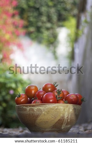 A bowl of small red tomatoes in a brown ceramic bowl set against a soft focus garden background. Shot on a portrait format with room for copy etc above.