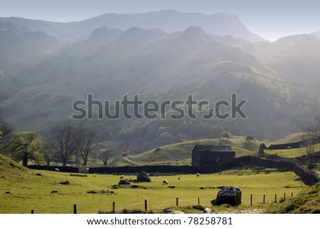 A Landscape view of hills and mountains in the Lake District, Cumbria UK England. Dry stone walls mark field bounderies with green grass fields and shhep. A dry stone building is also visible.