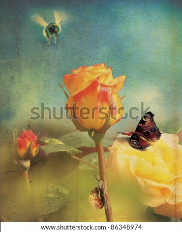 An orange rose flower head and stem set over a soft focus garden background with a grunge style effect applied, with a bee, butterfly and snail. Set on a portrait format.