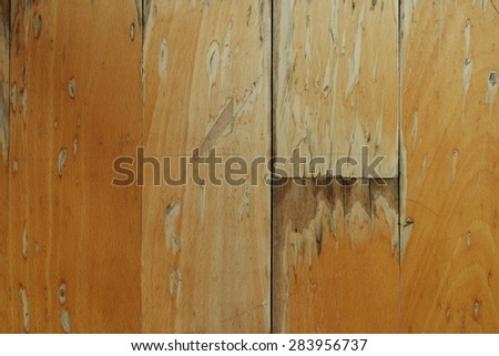 Wood Floor (Damaged by water)