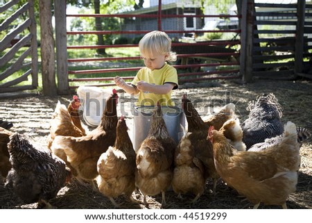 Toddler surrounded by chicken in coop