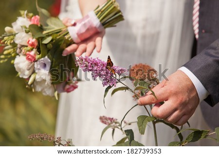 butterfly on flower. Bride and groom holding hands. Wedding.