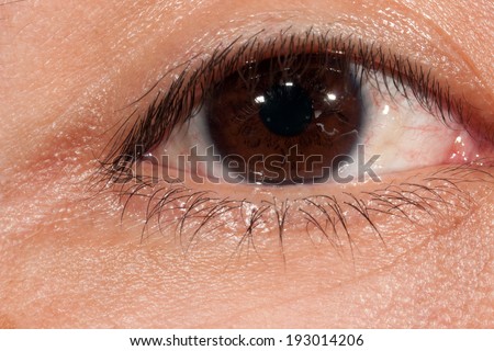Macro image of human eye man asian
