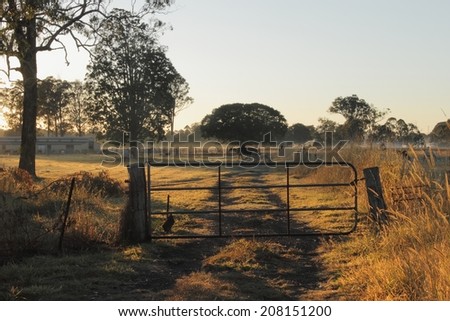 Horse farmland early morning light , queensland australia