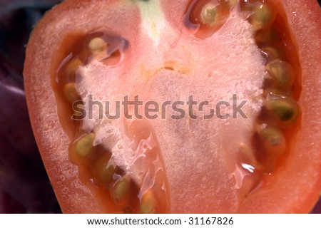 tomato half macro on bed of red onion skins