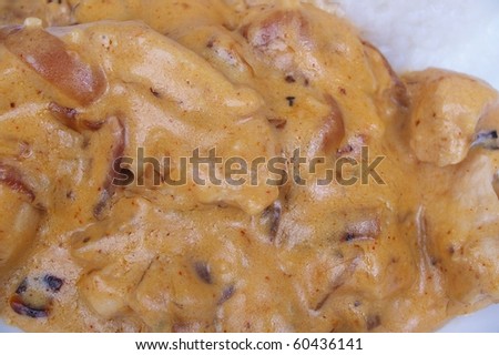 stock photo : chicken stroganoff served with boiled white rice