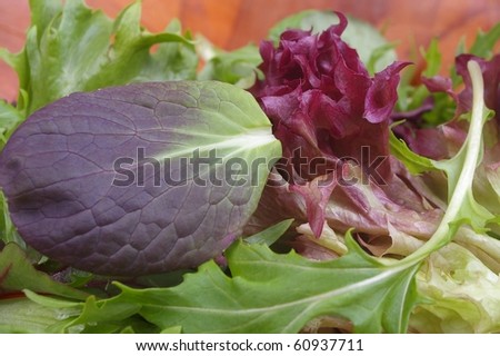 Mixed salad loose lettuce and spinach  leaves