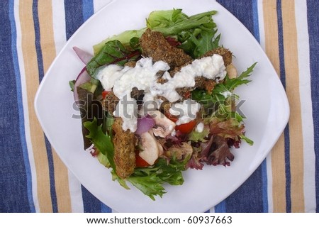 simple garden salad on plate eggplant chips and a yogurt raita