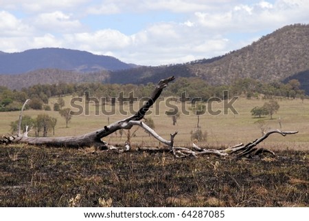 bush fire burnt ground remains australian outback scene