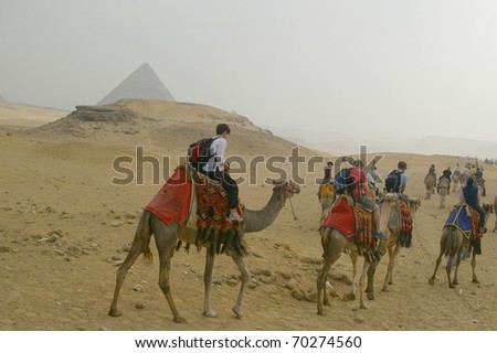 CAIRO, EGYPT - FEB 03 : Tourists take camel rides around pyramids February 03, 2009 in Cairo, Egypt