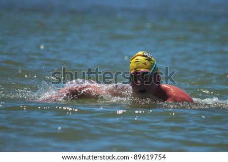 BRISBANE, AUSTRALIA  NOV 27 :Open water unidentified competitor in the Great Australian Swim Series race November 27, 2011 in Brisbane, Australia
