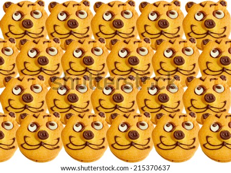 Vintage looking Range of homemade baked cookies with cat face isolated on white