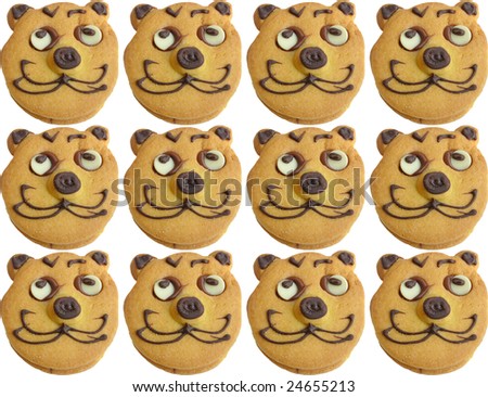 Range of homemade baked cookies with cat face isolated on white