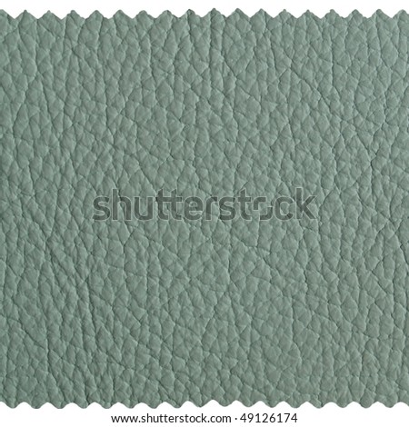 Leather sample