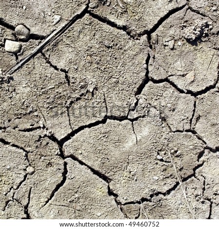 Dry earth in a field showing the effects of severe drought caused by global warming