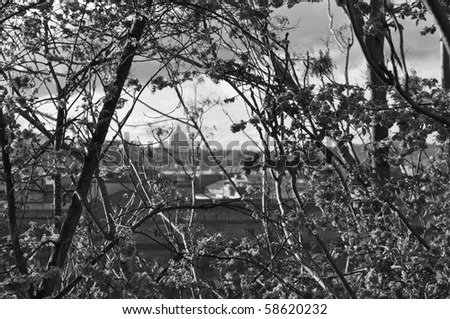 View of the city of Rome in the background (selective focus on the foreground trees)
