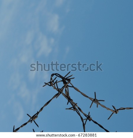 Detail of a barbed wire fence protection