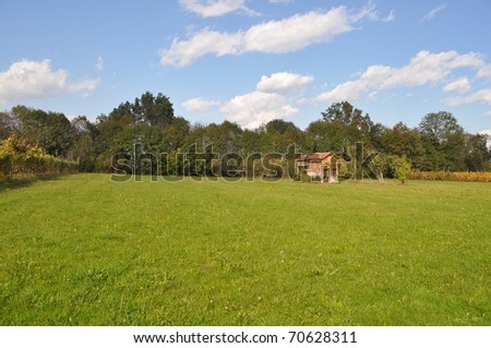 Natural landscape with green meadow, blue sky and trees