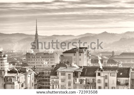City of Turin (Torino) skyline panorama birdeye seen from above - HDR (High Dynamic Range)