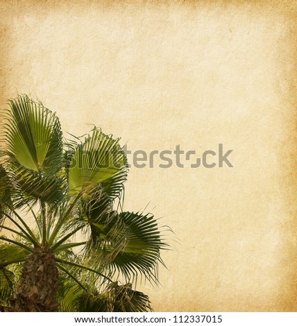 old paper  with  palm tree in the foreground.
