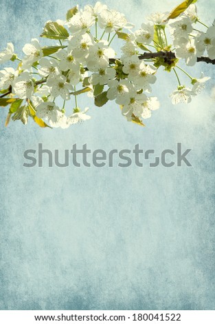Paper background with sweet cherry blossom.