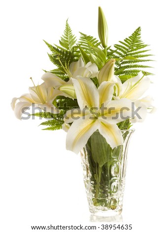 white lilies \' bunch on a white background