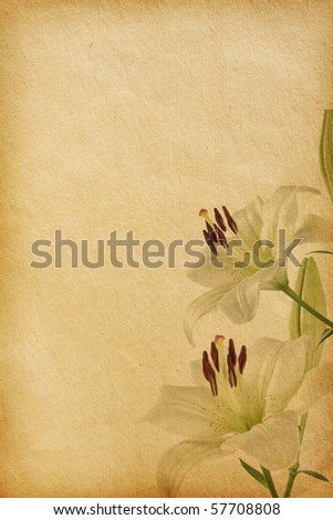 floral background with space for text or image.  flower paper textures.