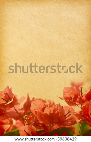 floral background with space for text or image. flower paper textures.Bush of  Bougainvillea flowers.