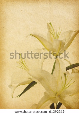 floral background with space for text or image. flower paper textures.